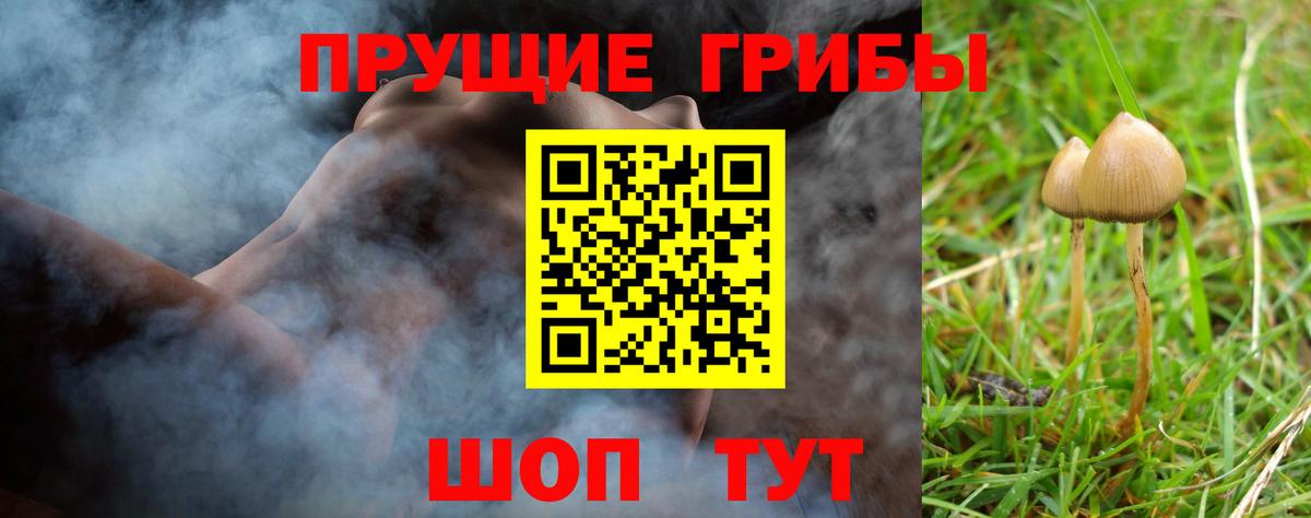 Псилоцибиновые грибы Psilocybine cubensis Калуга