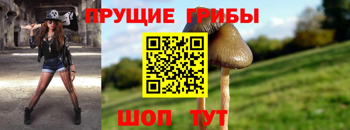Калуга  Галлюциногенные грибы GOLDEN TEACHER  Вход с VPN 